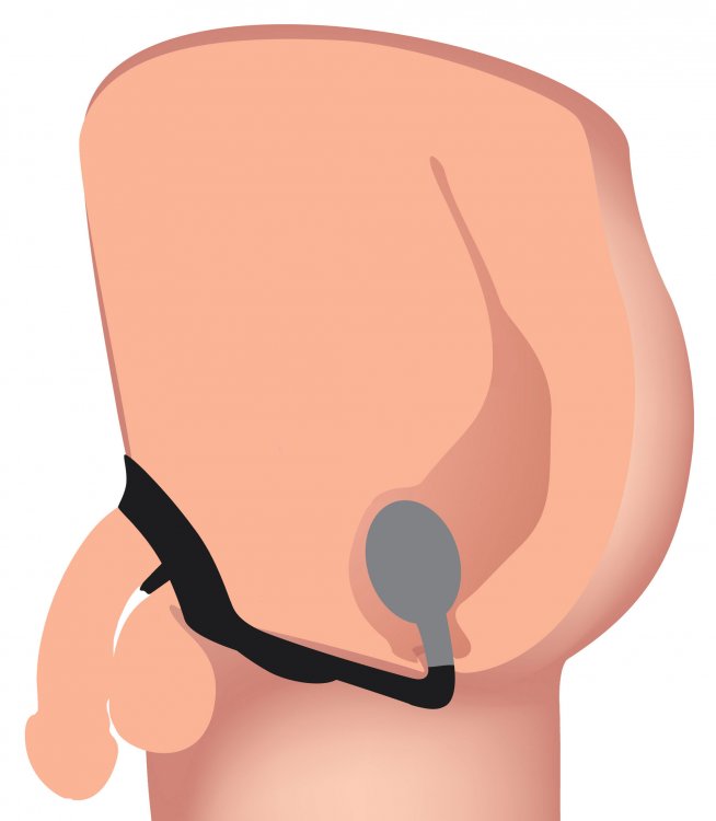 Alpha-Pro™ 10X P-Bomb Cock & Ball Ring With Vibrating Anal Plug
